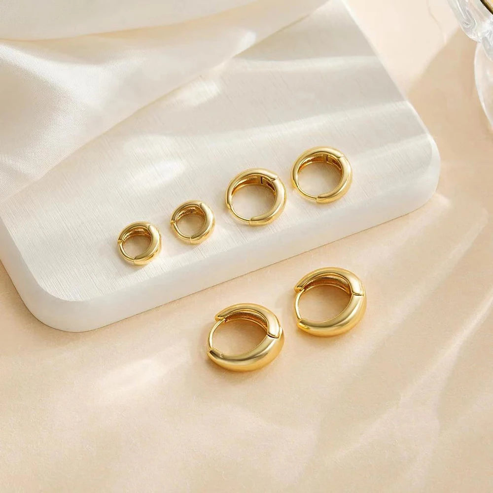 Minimalist Gold Stainless Steel Huggie Hoop Earrings