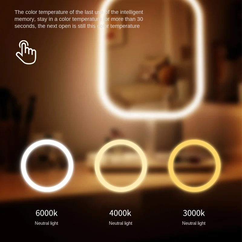 LED Lighted Vanity Mirror
